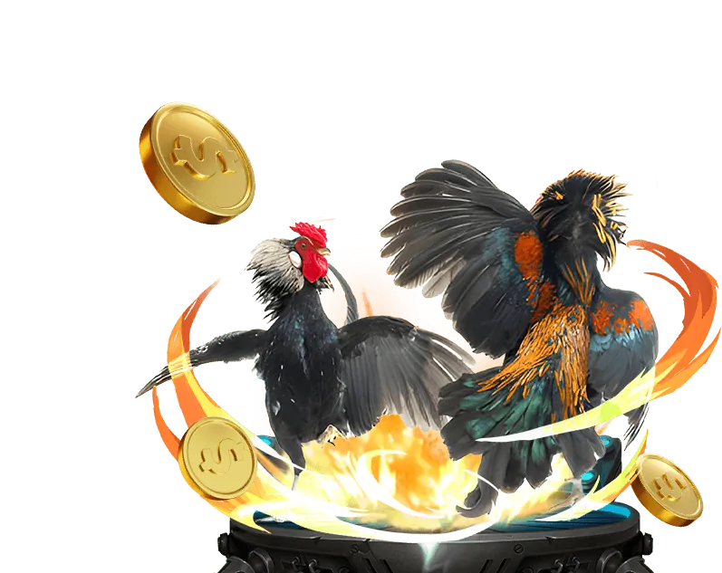 Hướng dẫn ba bước để bắt đầu chơi tại banca28 bet casino